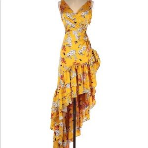 Bronx and Banco Dress